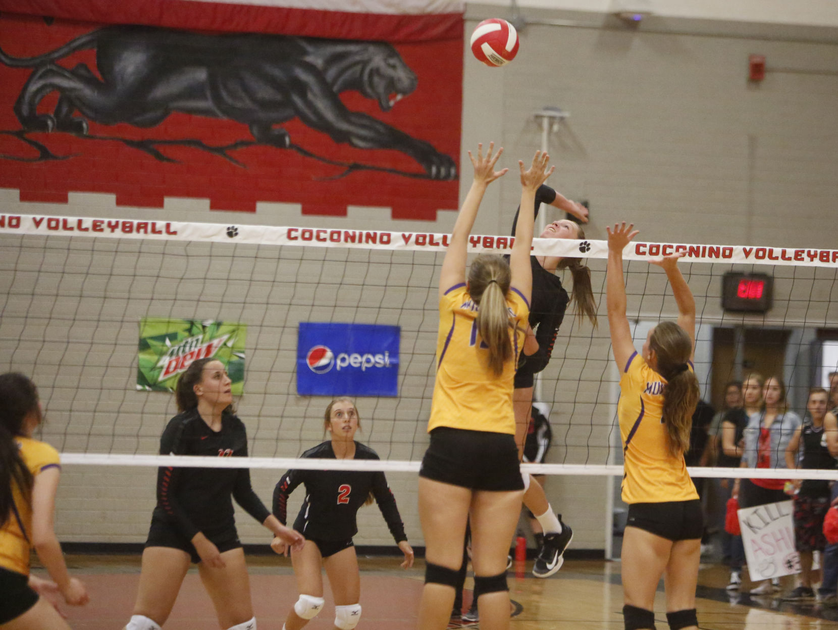 Coconino Volleyball